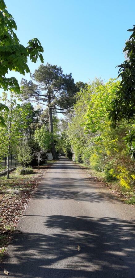 Le Domaine D'Azae Hotel Gujan-Mestras Buitenkant foto